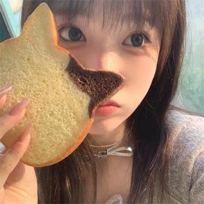 星光乐园 星光之旅